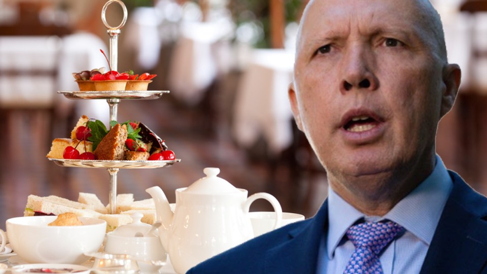 peter dutton morning tea