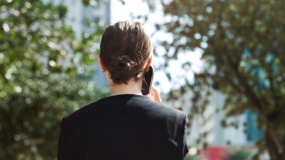jobseeker hotline