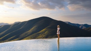 Advertising investigates commercials in dreams