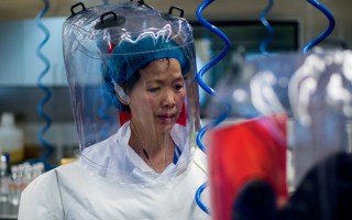 Shi Zhengli could answer China coronavirus query