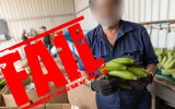 agriculture visa changes put migrants at risk