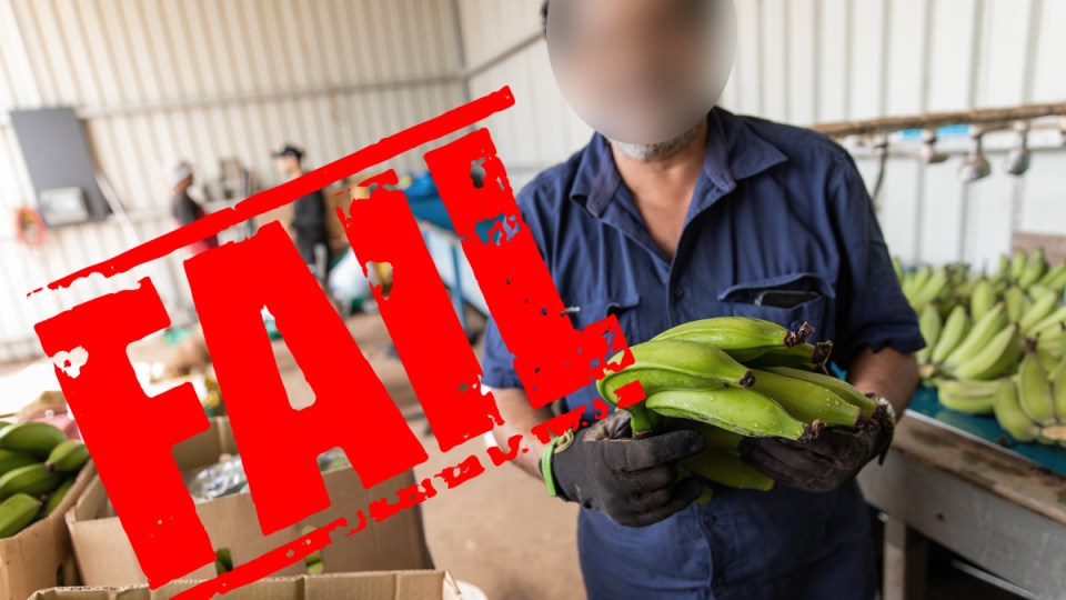 agriculture visa changes put migrants at risk
