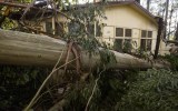 defence force storm victoria