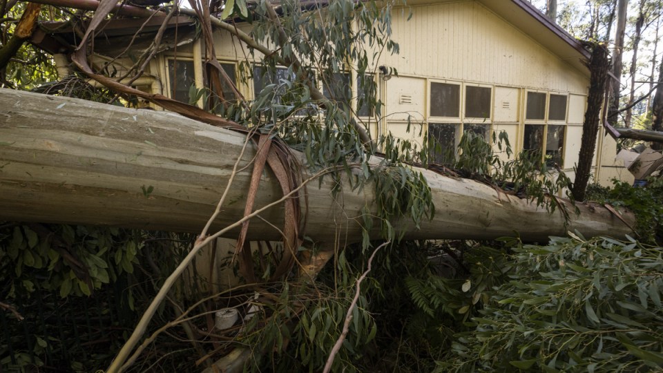 defence force storm victoria