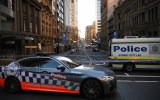 halmze shooting sydney