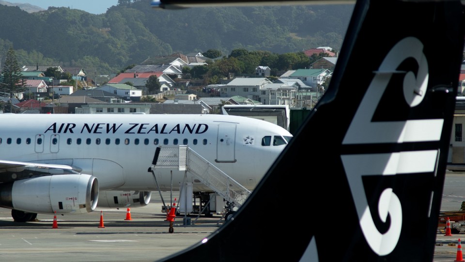 nz covid sydney traveller