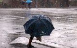sydney rain floods