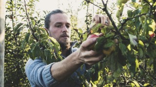 A fruit picker