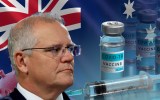 Morrison urged to bring in incentives to be fully vaccinated
