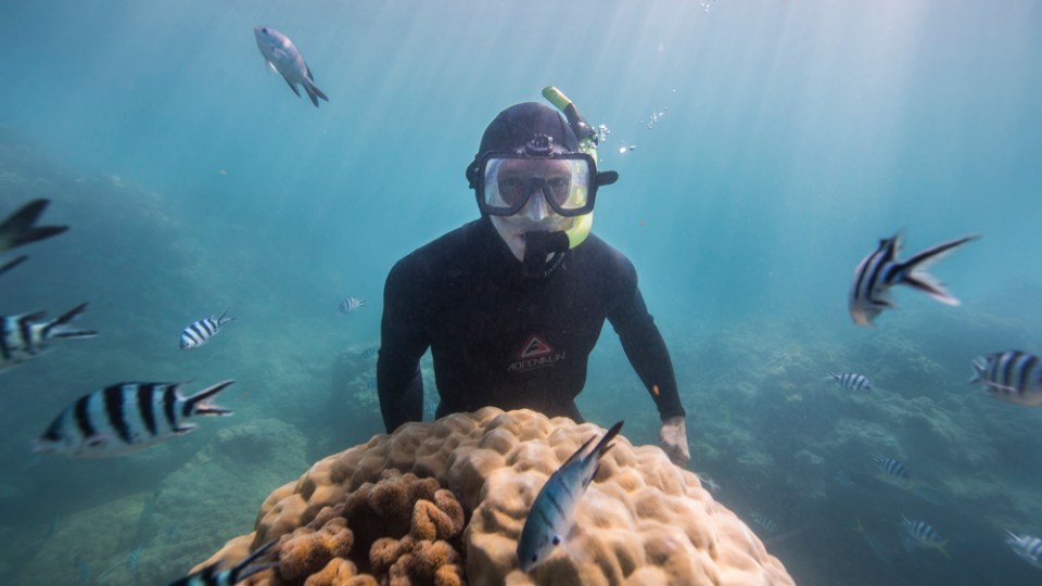 Great Barrier Reef