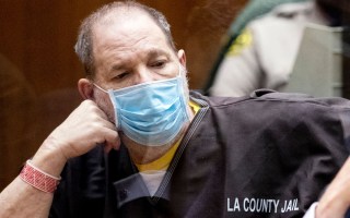 harvey weinstein