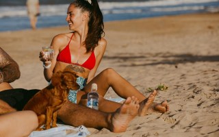 Cairns gin distilleries