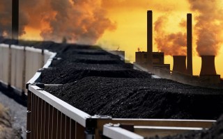 Coal