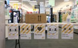 nz auckland outbreak
