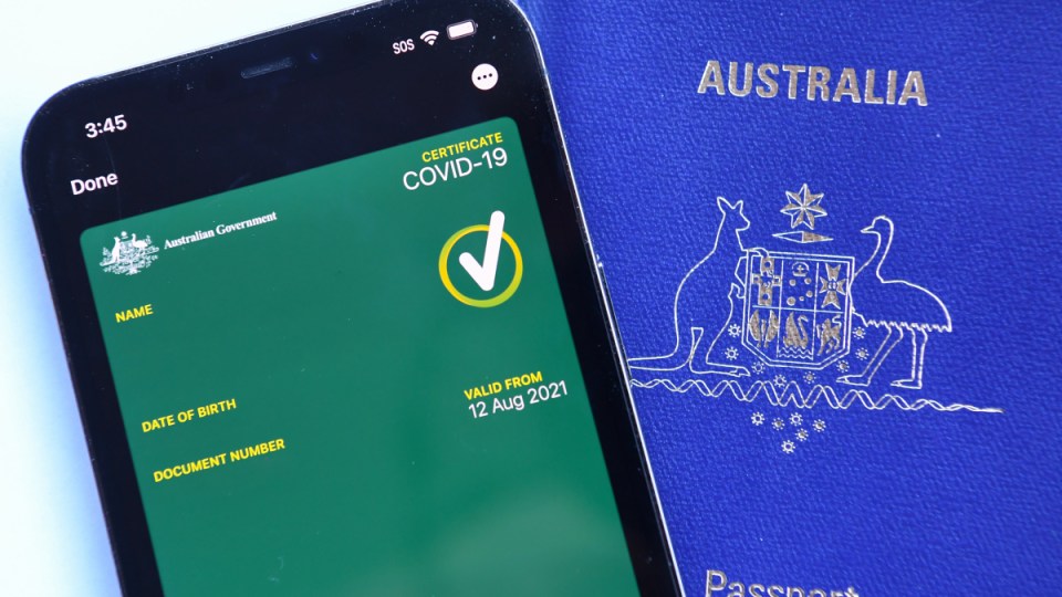 vaccination passport