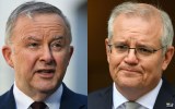 newspoll scott morrison