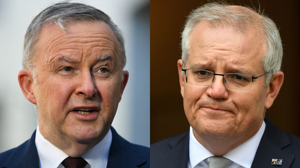 newspoll scott morrison