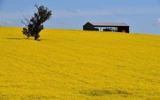 Drier conditions