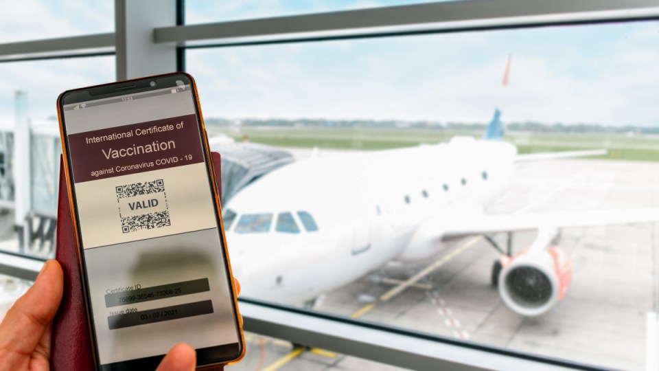 digital border pass