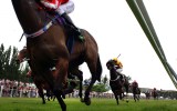 racing vic vaccine