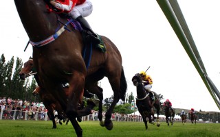 racing vic vaccine