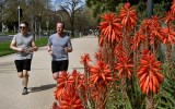 victoria virus rules vaccine