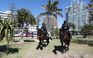 Qld Covid