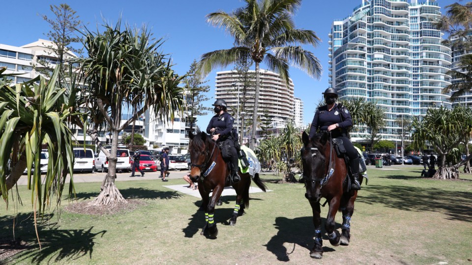 Qld Covid