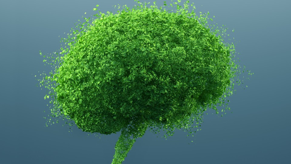 MIND diet