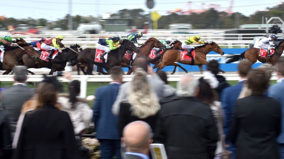 melbourne cup crowd covid