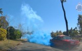 gender-reveal
