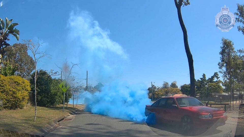gender-reveal