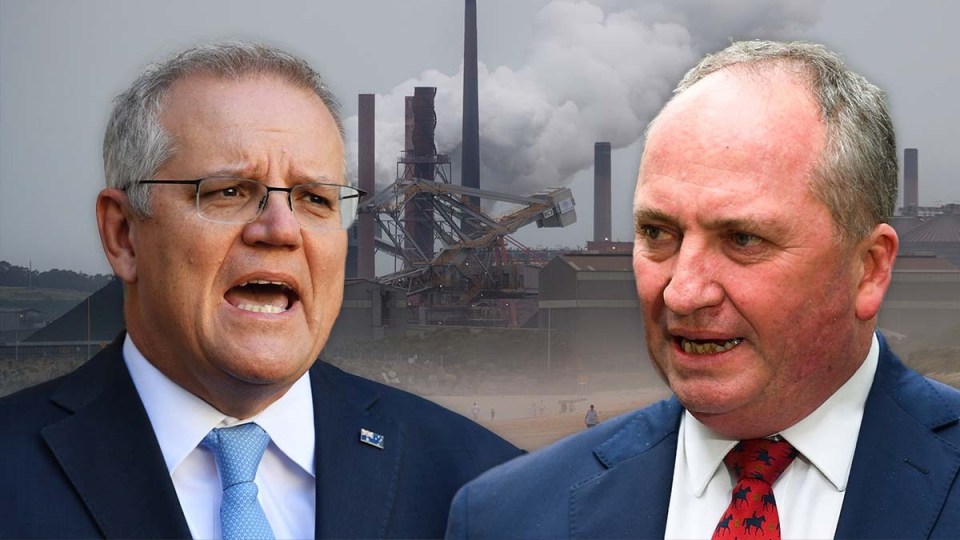 national party joyce morrison net zero