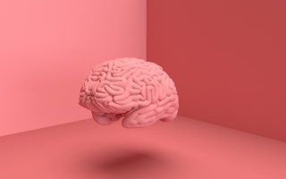 brains