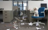 ADHD