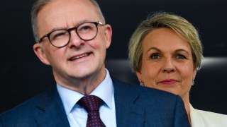 albanese plibersek