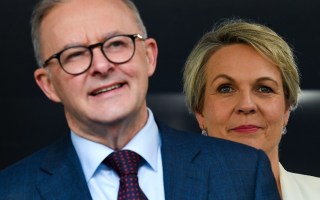 albanese plibersek
