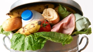 food waste