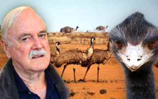 John Cleese