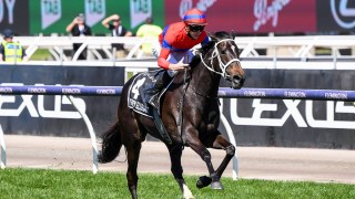 Melbourne Cup