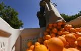minimum wage actu