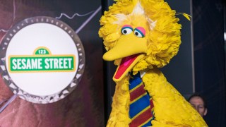 Big Bird