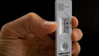 rapid tests stolen