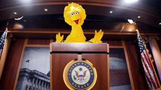 Big Bird
