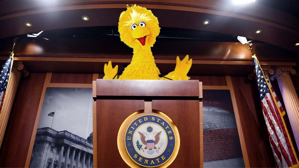 Big Bird