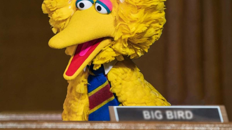 Big Bird