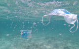 More and more face masks are ending up as litter.