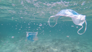 More and more face masks are ending up as litter.
