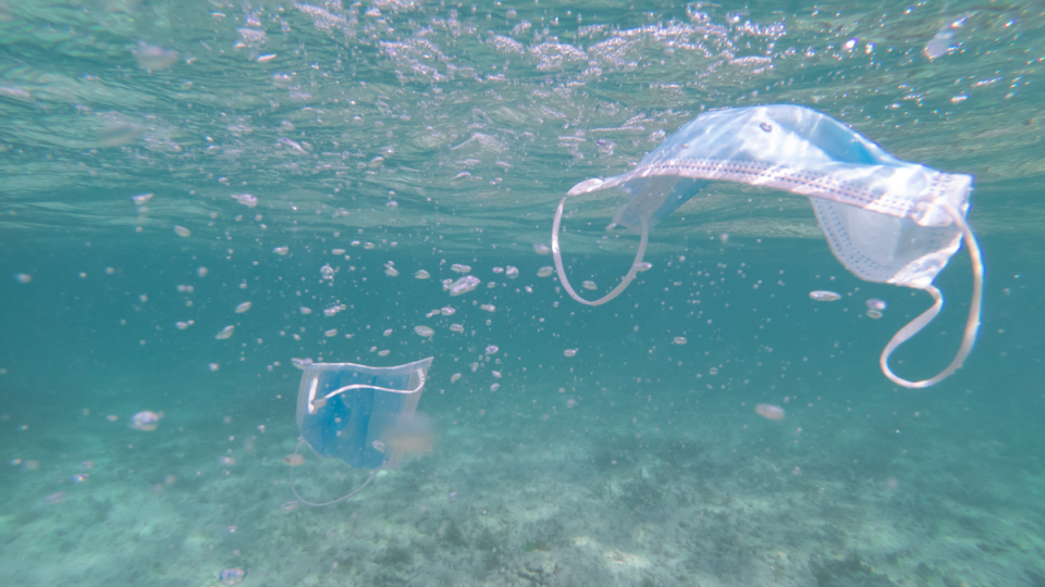 More and more face masks are ending up as litter.