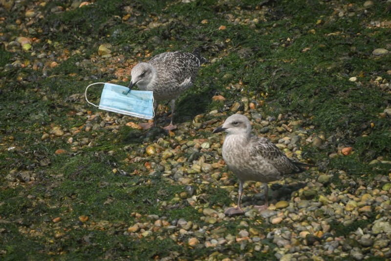 Face mask litter